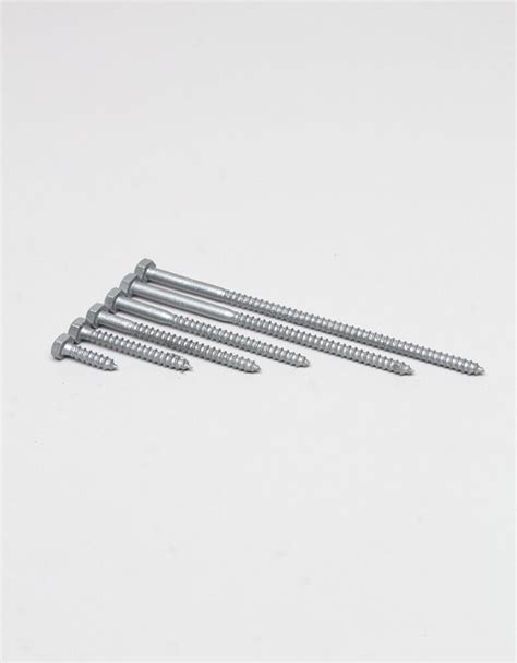 14 Galvanized Lag Bolts
