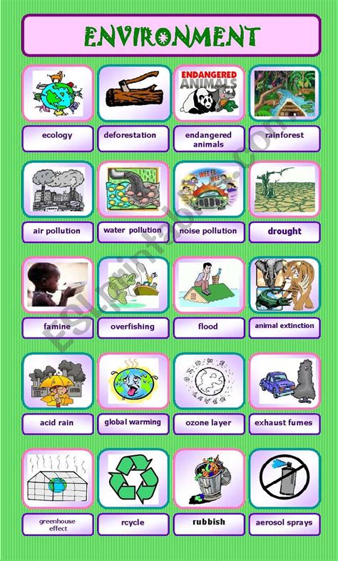 List Of Environment Words