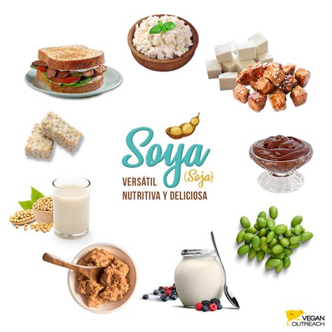 Acerca De La Soya Vegan Outreach