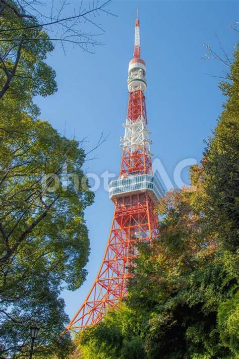 増上寺の横から見る東京タワー No 28432825｜写真素材なら「写真ac」無料（フリー）ダウンロードok