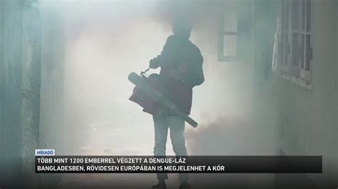 Több mint 1200 emberrel végzett a dengue láz Bangladesben YouTube