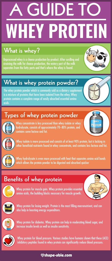 A Guide To Whey Protein