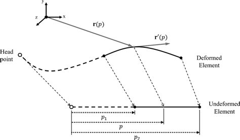 Deformed Ale Ancf Cable Element And Equivalent Undeformed Element In Download Scientific