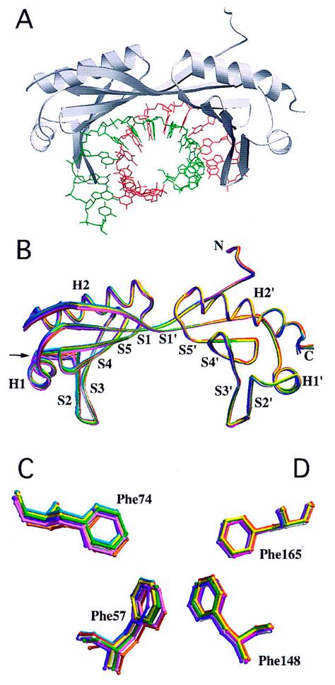 Plants Free Full Text On The Role Of Tata Boxes And Tata Binding