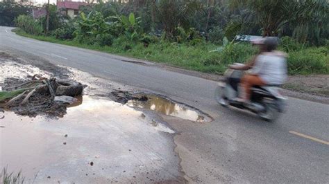 Sebagian Badan Jalan Nasional Di Aceh Timur Rusak Parah Sudah Berulang