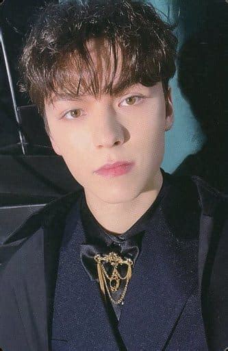 Photo Card Included With Seventeen Vernon Seventeen Global