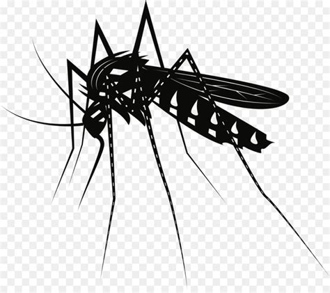 Download High Quality mosquito clipart insect Transparent PNG Images - Art Prim clip arts 2019