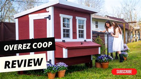 Overez Chicken Coop Review The Best Value For Your Flock S Comfort And