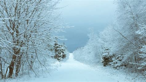 Weather Charlottetown Pei Cbc - Hetty Laraine