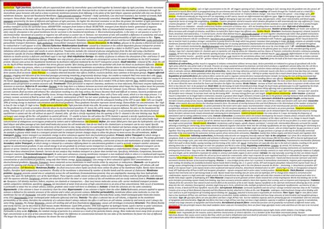 Biosci Cheat Sheet Lecture Notes All Muscle Excitation