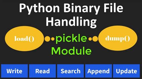 Practice Programs On Binary File Handling In Python Youtube