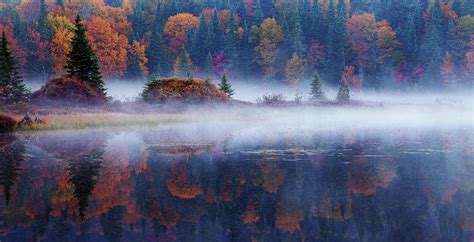 Laurentian Forest Photograph By Mircea Costina Pixels