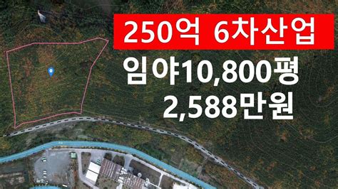 낙찰종료 강원 임야 10800평 2588만원 250억 6차산업지 공매725~27 강원도 정선군 신동읍 조동리 산51 1