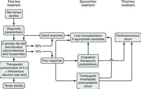 Ascites And Spontaneous Bacterial Peritonitis Clinical Gate