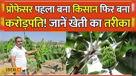 Banana Farming प्रोफेसर की नौकरी छोड़ शुरू की केले की खेती आज बना