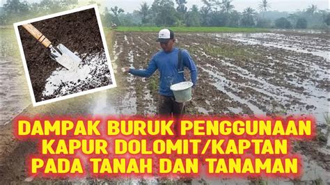 DAMPAK BURUK PENGGUNAAN KAPUR DOLOMIT KAPTAN PADA TANAH DAN TANAMAN