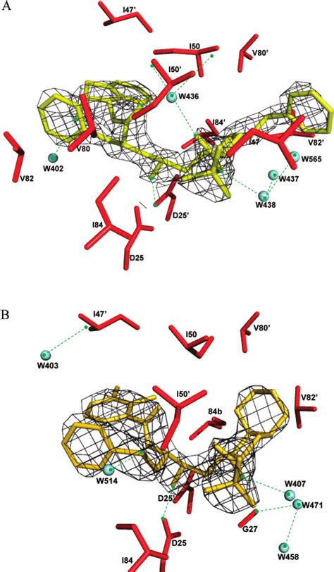 The Omit Electron Density Maps For Idv A And Nfv B In The Active