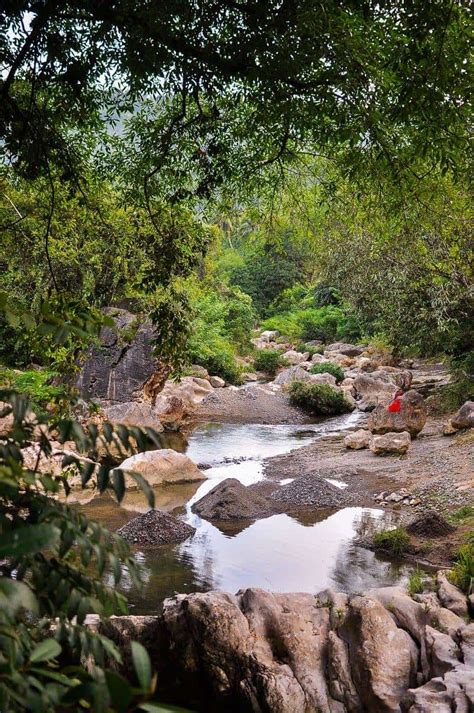 A taste of paradise at Lava Mountain River Farm in Cebu City