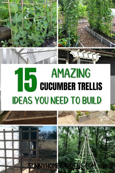 Diy Cucumber Trellis Ideas Sunny Home Gardens