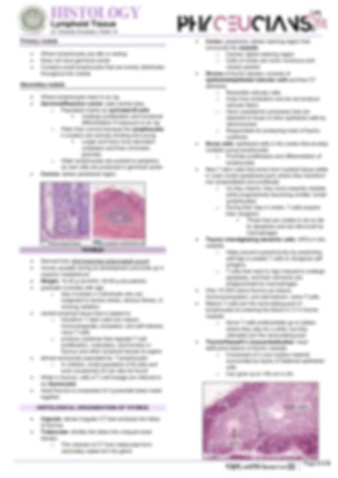 SOLUTION: Histology lymphoid system - Studypool