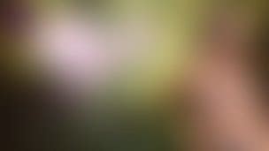 Prejac Porn Videos Clips4sale