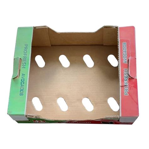 Single Wall Ply Corrugated Fruit Packaging Boxes At Piece In Jaipur