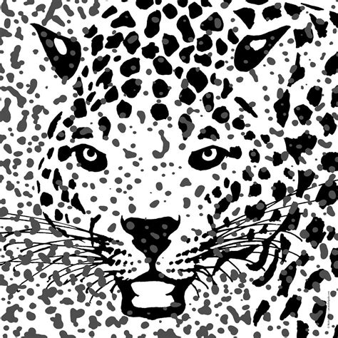 Spots Over Jaguar Portrait Illustration Artwork by Michel Godts