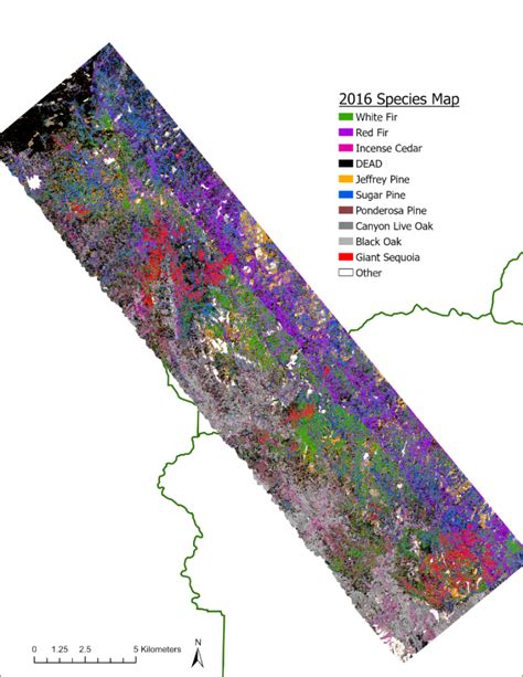 Tree Mortality Maps To Assess Fire Risk Land Imaging Report Site