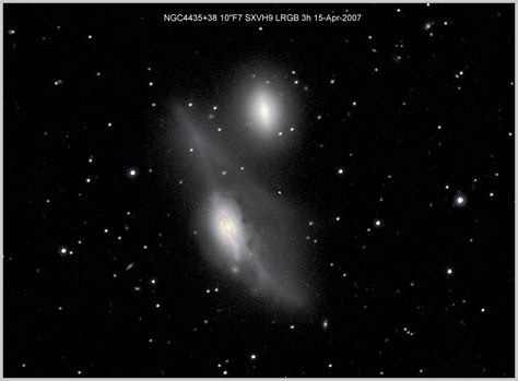 NGC Sampler