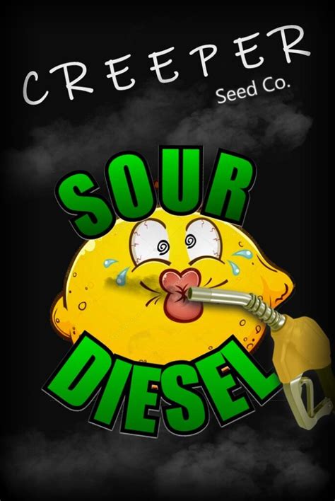 Sour Diesel Creeper Seed Company