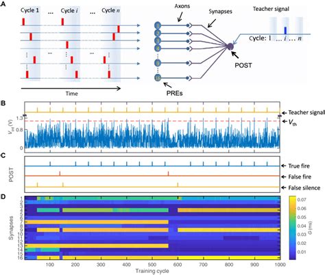 Experimental Learning Of Spatiotemporal Patterns A Schematic