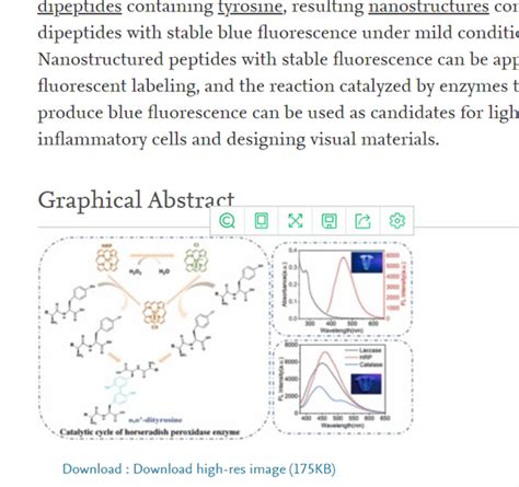 Colloids And Surfaces Aperoxidase Triggered Formation Of