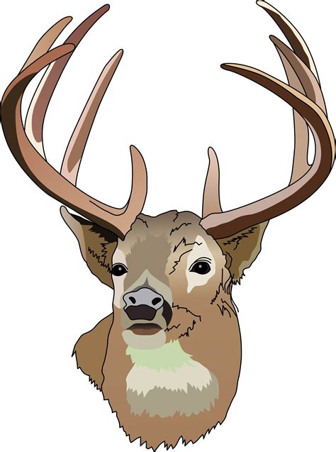 Deer Hunting Clipart - ClipArt Best