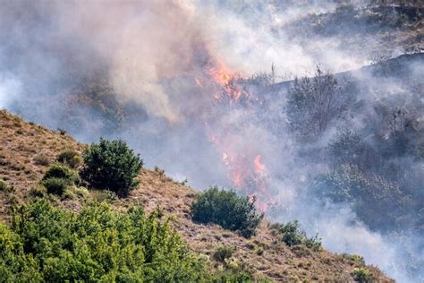 Incendi Wwf Sempre Di Pi In Fumo Ettari In Natura