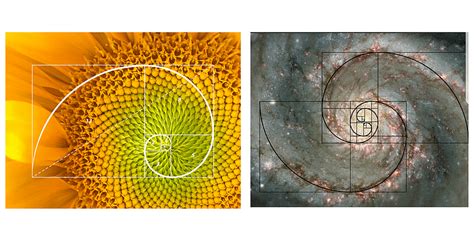 Golden Ratio In Art