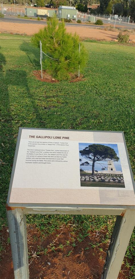 Robinvale Euston Memorial Park 2 Places Of Pride