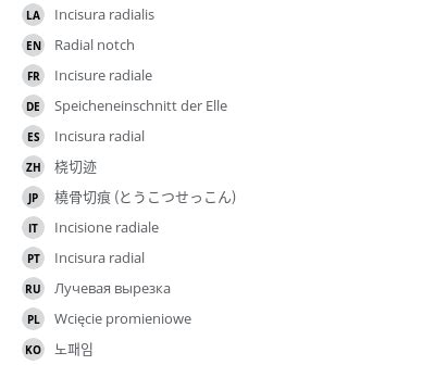 Radial notch - e-Anatomy - IMAIOS