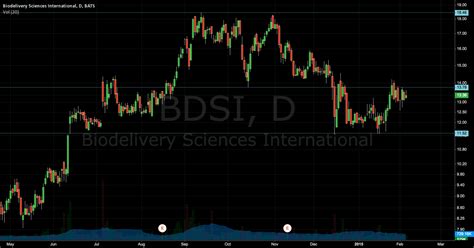 Support And Resistance For NASDAQ BDSI By Adgower TradingView