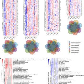 Expression Heatmap Of The Differentially Expressed Genes From