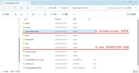 CustomSkinLoader | LittleSkin 用户使用手册