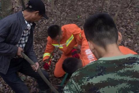 浙江象山 男子上山采灵芝脚卡 野猪夹