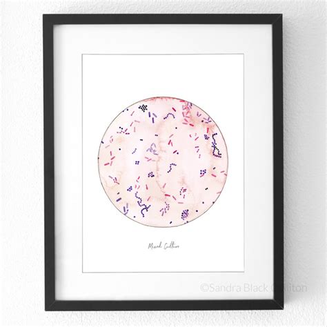 Mixed Culture, Art Print, Watercolor, Science, Medical, Science Art, Biology, Science Gift ...