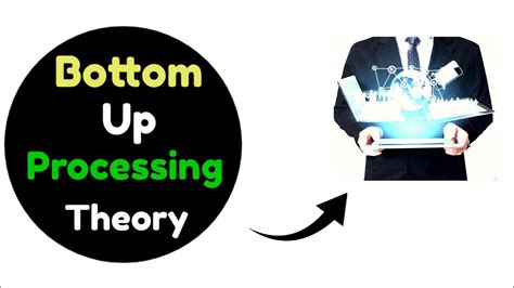 Bottom Up Processing Theory Approach Definition Bottom Up Vs Top Down Spot