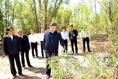 学习进行时丨构筑“万里绿色长城”，总书记念兹在兹内蒙古习近平生态