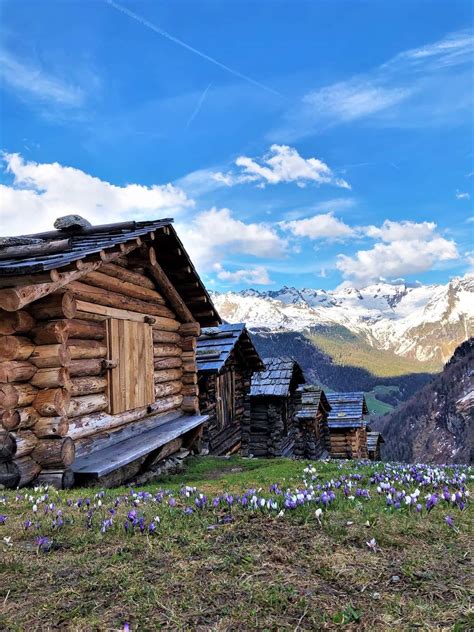 Solve Alpin Barn Jigsaw Puzzle Online With 221 Pieces