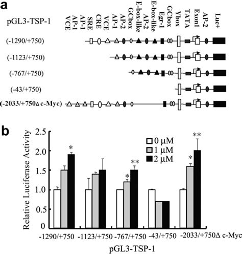 Figure 3 From Down Regulation Of C Myc And Induction Of An Angiogenesis