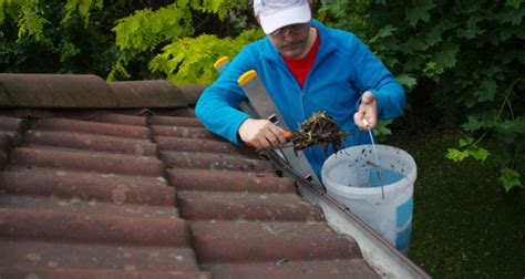 The Hidden Dangers Of Neglecting Gutter Cleaning In Spring Window