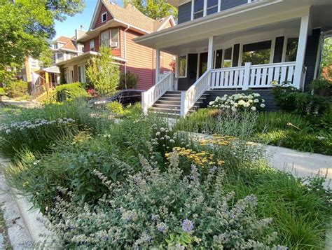 Sidewalk Landscaping Plants