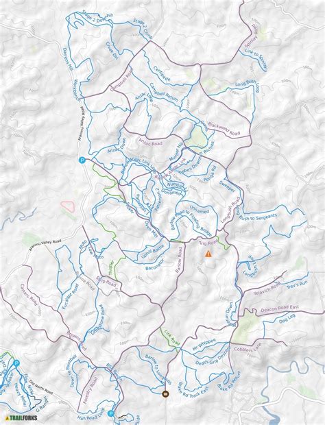 Riverhead Forest Multi Use Trail Network Mountain Biking Trails