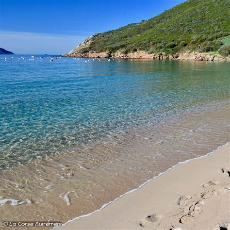 La Plage Du Golfe De Lava Proche Dajaccio